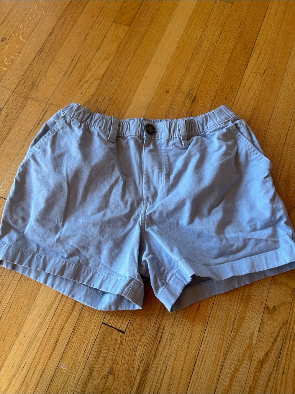 Light Blue men’s chubbies 4in Casual Shorts